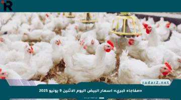 «مفاجأة كبرى» أسعار البيض اليوم الإثنين 9 يونيو 2025